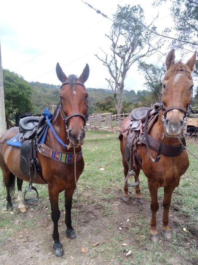 مبيت وإفطار Glamping Sumapaz - فوساغاسوغا المظهر الخارجي الصورة