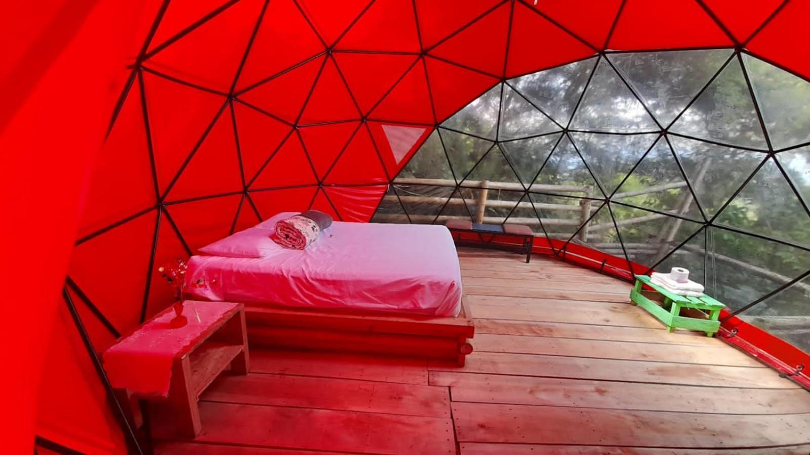 مبيت وإفطار Glamping Sumapaz - فوساغاسوغا الغرفة الصورة